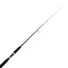 Daiwa Saltist 962H Spinning Rock / Landbased Rod 9ft 6in PE2-4 2pc -Deals Catch And Reel Store 110234 7