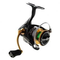 Daiwa Exceler LT 2500 Emeraldas Squid Combo With Braid 8ft 3in PE0.5-1 2pc -Deals Catch And Reel Store 131605 4 n