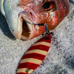 Daiwa Saltiga Slow Knuckle Jig 200-300g -Deals Catch And Reel Store 134211 10 2