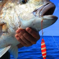 Daiwa Saltiga Slow Knuckle Jig 80-120g -Deals Catch And Reel Store 134211 12