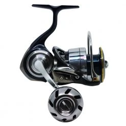 Daiwa 19 Certate LT 3000D-C Ark Spinning Reel -Deals Catch And Reel Store 153247 4 n