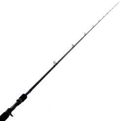 Daiwa 21 TD Tierra Soft Bait Rod 7ft 6in 5-9kg 2pc
