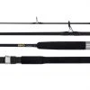 Daiwa 21 BG Bluewater 64BJB-NZ Spin Rod 6ft 5in PE2-4 60-120g 1pc -Deals Catch And Reel Store 22bgbluewaterweb 2000x