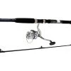 Daiwa D-Wave Spinning Combo With Line 7ft 2pc -Deals Catch And Reel Store 41rfm7qyj7l