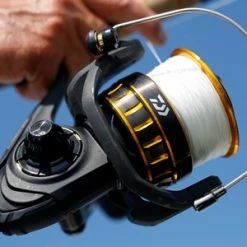 Daiwa BG16 2000 Spinning Reel