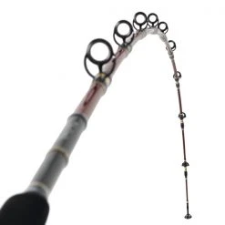 Daiwa VIP 196 Boat Rod 7ft 10in 8-20lb 12 Daiwa VIP 196 Boat Rod 7ft 10in 8-20lb -Deals Catch And Reel Store dafoh1149xxxxx 8