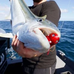 Daiwa Kohga Bug Slider Lure With Holographic Flash 80g -Deals Catch And Reel Store o1zfdkze